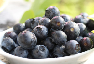 blueberries