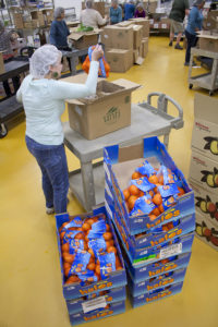 woman sorting oranges into bags