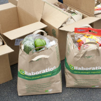bags-of-groceries