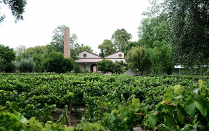 Lagarde-building-vineyards