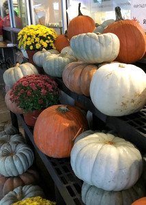 pumpkins