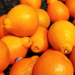 tangelos