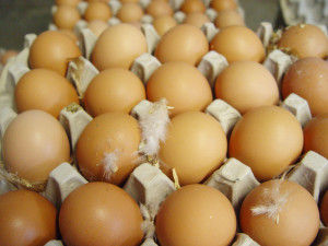 Latta-eggs