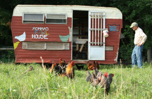 StoneyMountainFarm-coop