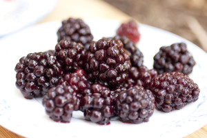 blackberries-shiny