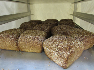 vollkornbrot-on-rack