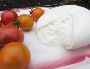 Lioni-burrata