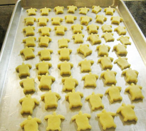 joevangogh-sea-turtle-cookies-from-caseys-FB