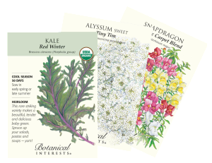 BotanicalInterests-seedpacks-kale-alyssum-snapdragon
