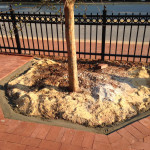 Hillsborough store patio