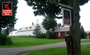 barn