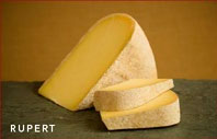 wedge of cheese