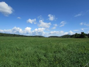 farm scenery