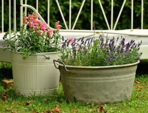 planter-tub-public-domain