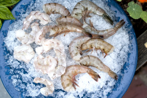 shrimp-shellon-raw-on-plate