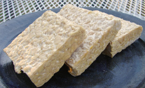 tempeh-plain
