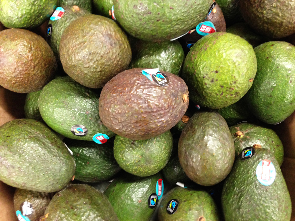Know Your Avocado Varieties And When They're In Season