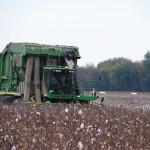 TS Designs cotton harvest tour