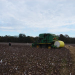 TS Designs cotton harvest tour