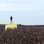 TS Designs cotton harvest tour