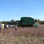 TS Designs cotton harvest tour