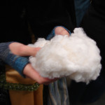 TS Designs cotton harvest tour