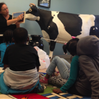 kids learning about cow