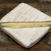 cottonbell cheese
