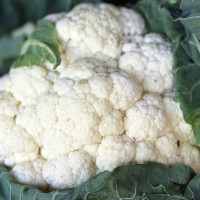 cauliflower