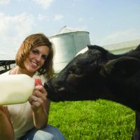 Lindley daughter feeding cow