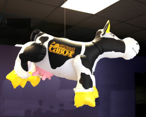 cow balloon