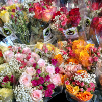 roses