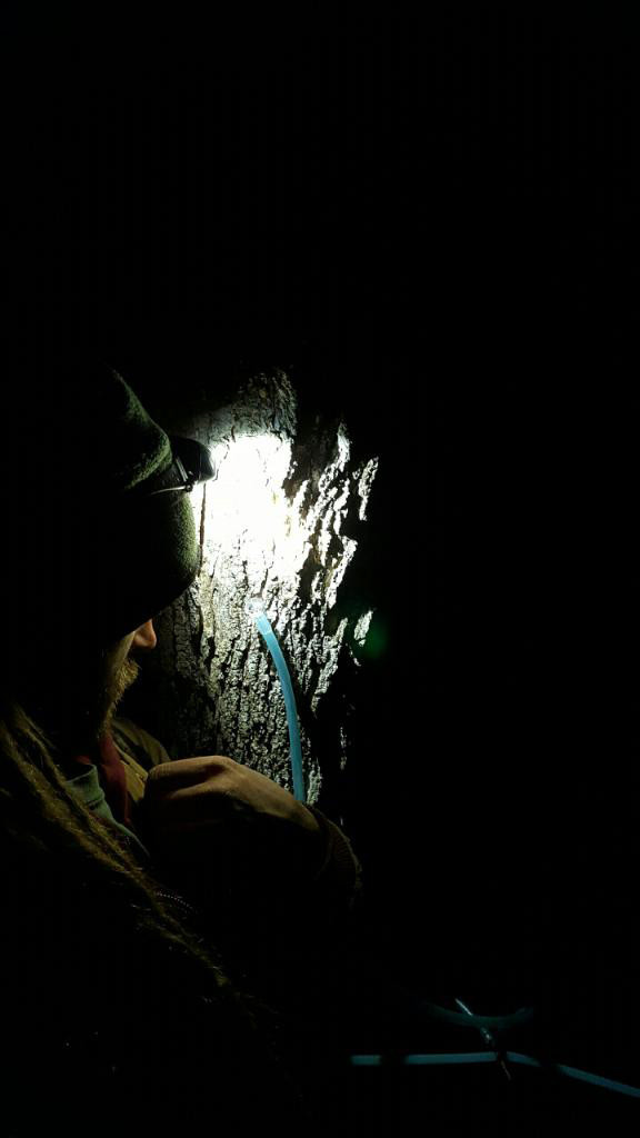 working in the night