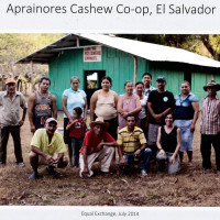 cashew farmers