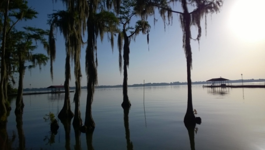 lake scene