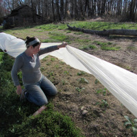 carolyn displays plants