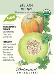 melon seeds