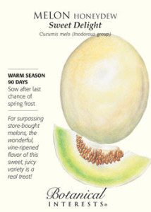 melon seeds