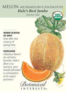 melon seeds