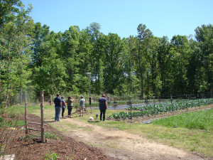Debbie and tourists in the field