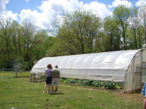 tourists view the hoophouse