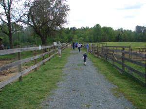 walking down the lane