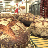 miche bread