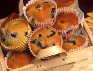 blueberry muffins