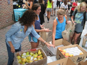 sorting food