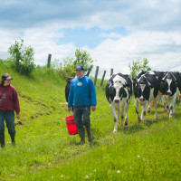 McGarry Dairy in Enosburg Falls, VT