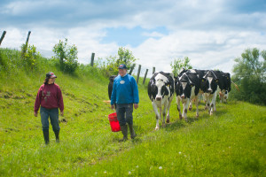 McGarry Dairy in Enosburg Falls, VT