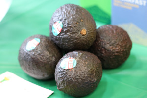 avocados