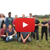 tour group with video icon