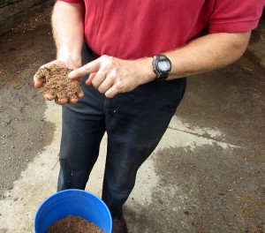 Bradley shows us feed